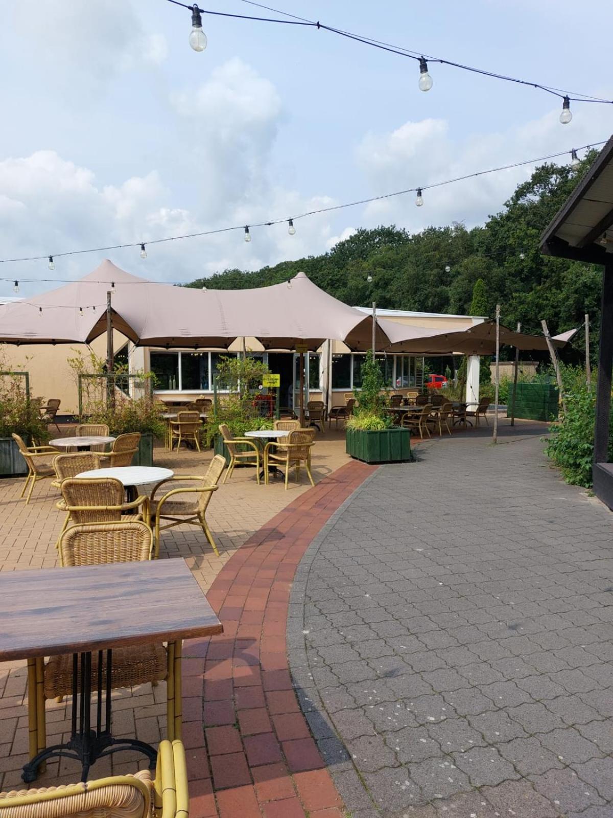 2 Bedroom Fins Chalet Gramsbergen Екстериор снимка