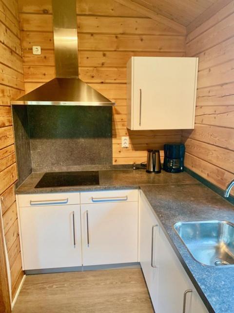 2 Bedroom Fins Chalet Gramsbergen Екстериор снимка